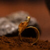 Anello Calipso