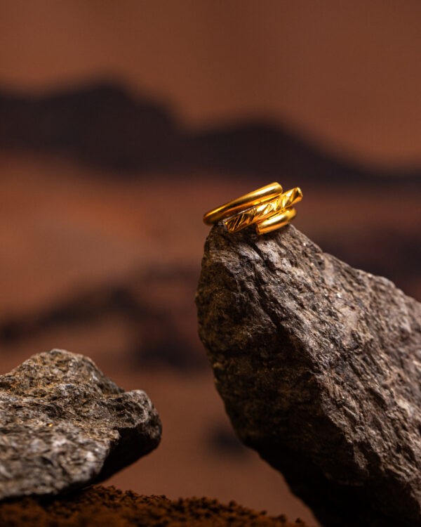 anello Rondine Slim della collezione Marte Design di Marte Gioielli