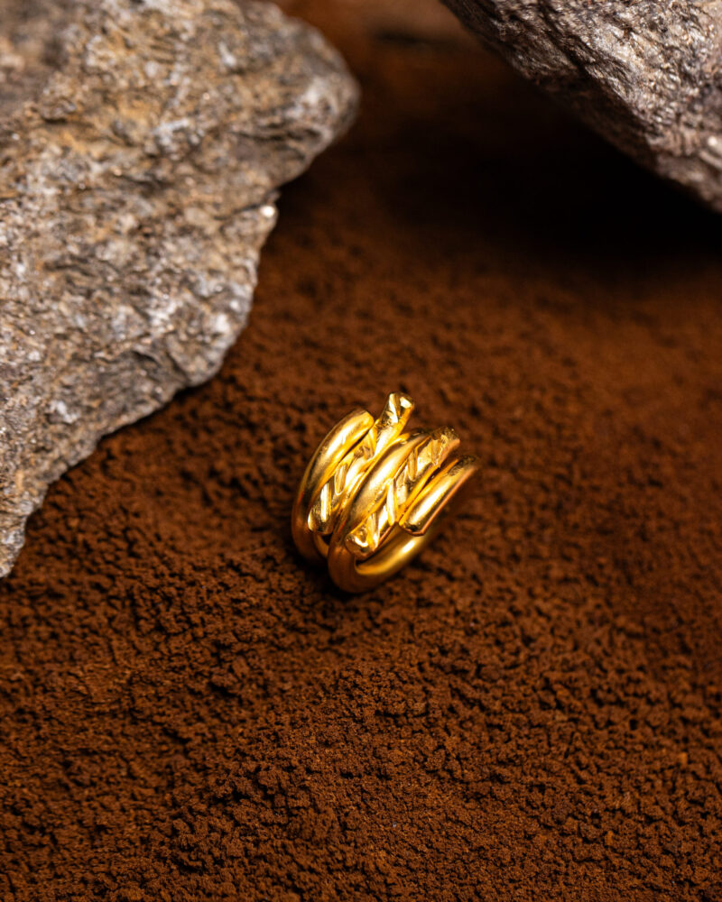 Anello Rondine
