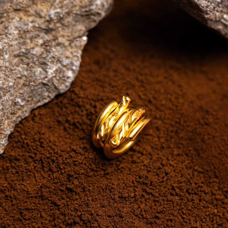 Anello Rondine