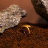 anello Rondine slim della collezione Design di Marte Gioielli