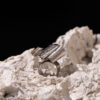 anello Chimera della collezione Luxury Sorella Luna di Marte Gioielli