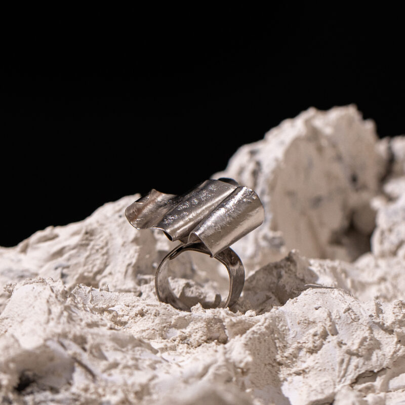 Anello Chimera – Fascia in Bronzo e Palladio Martellato