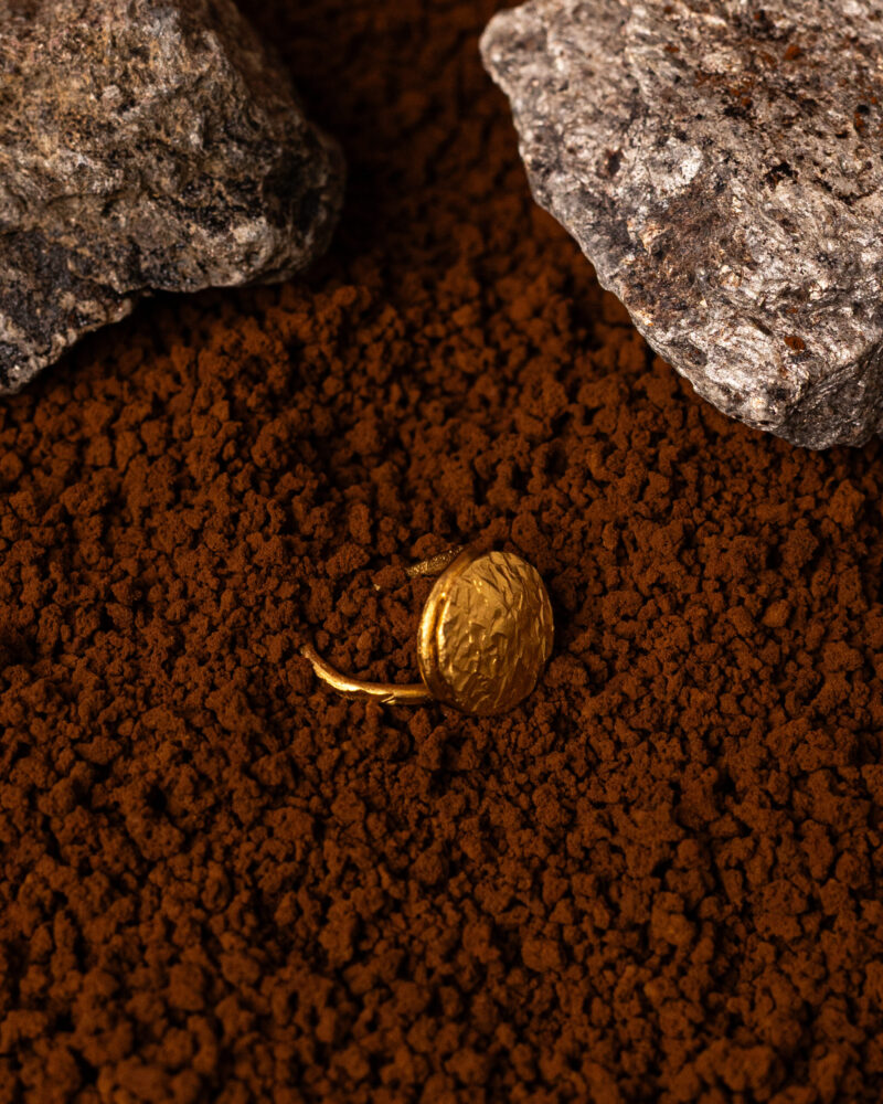 Anello Moneta - immagine 2