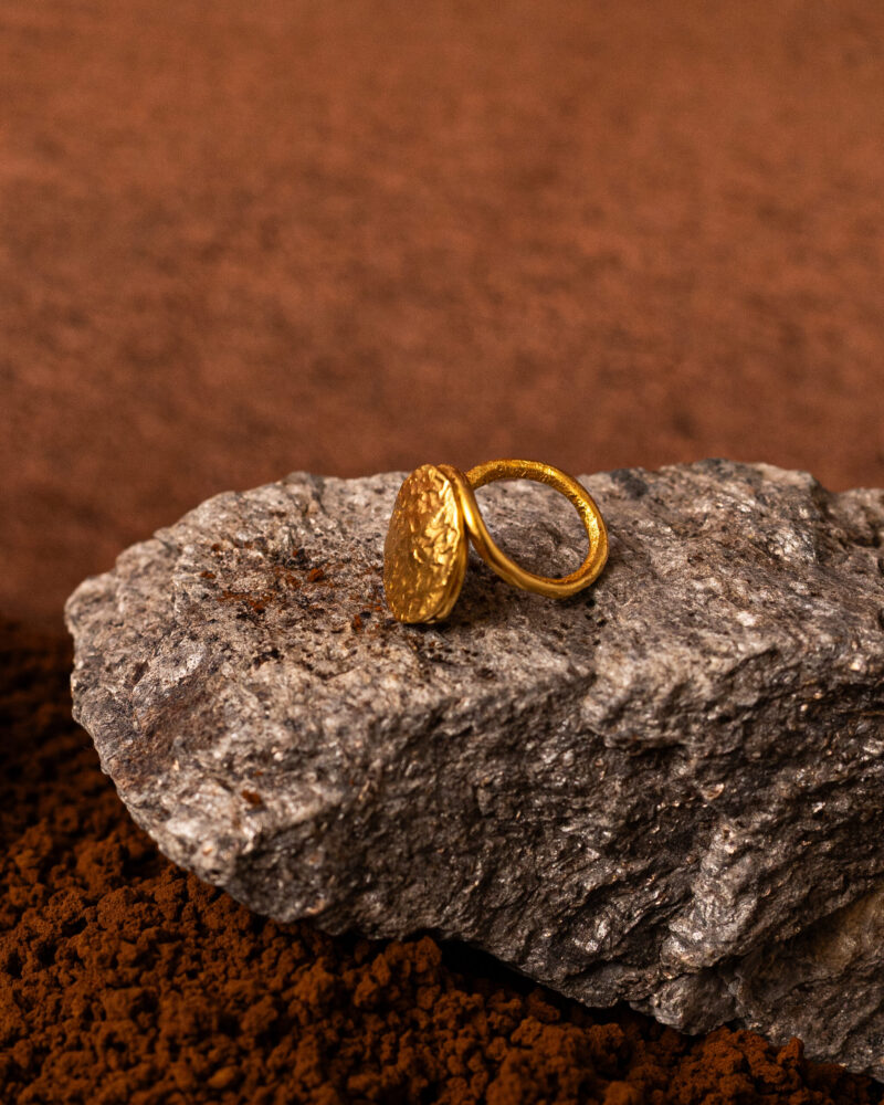 Anello Moneta - immagine 4