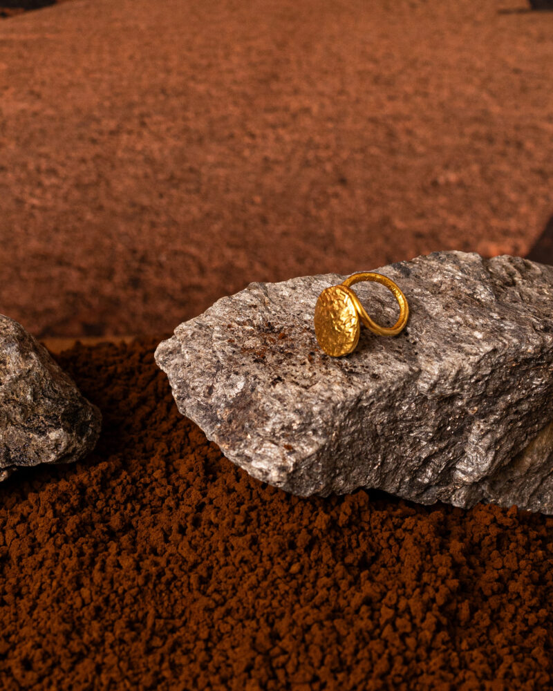 Anello Moneta - immagine 3